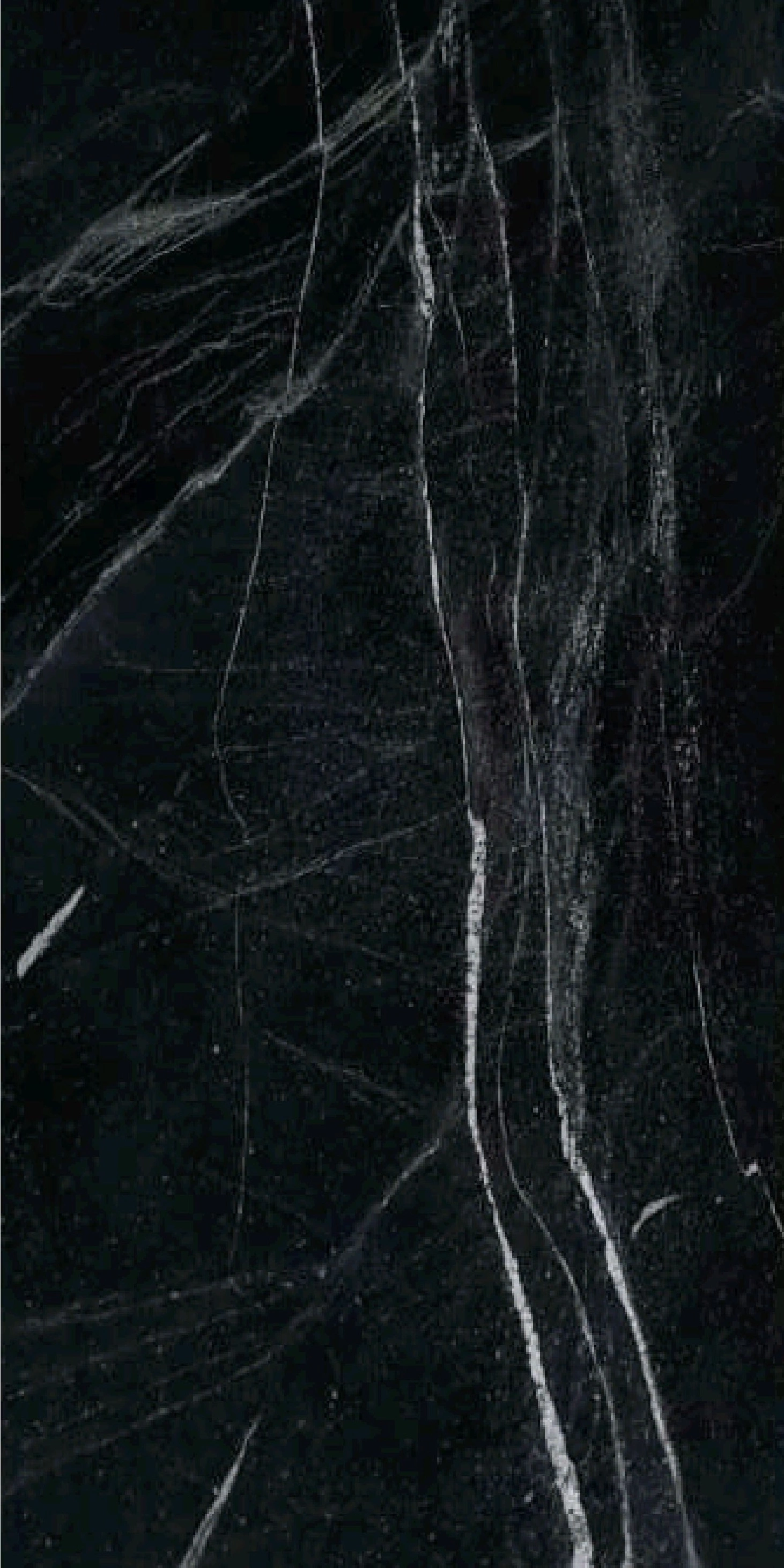 Carrara Black