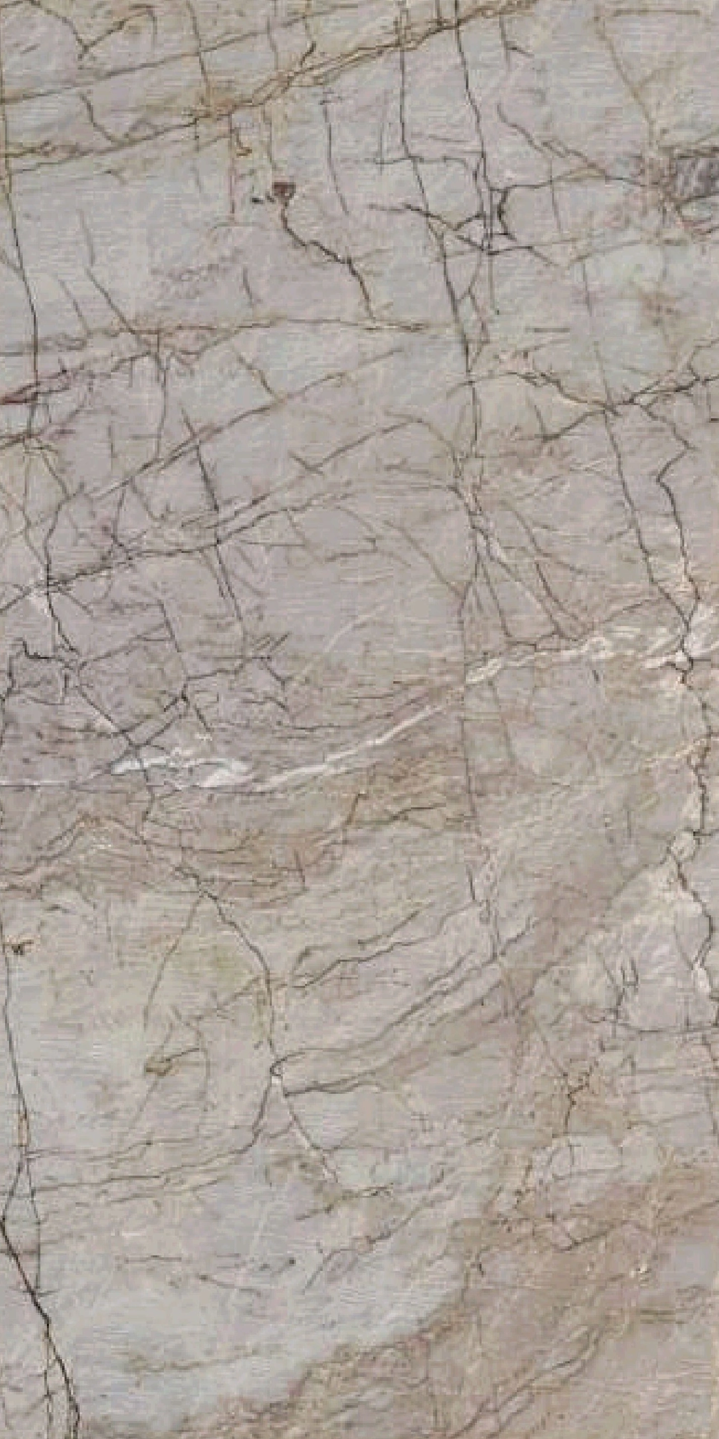 Roma Imperial Quartzite